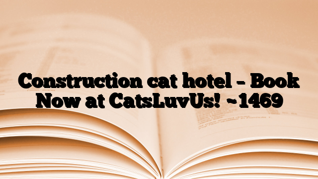 Construction cat hotel – Book Now at CatsLuvUs!