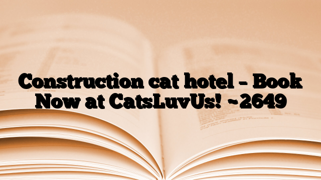 Construction cat hotel – Book Now at CatsLuvUs!