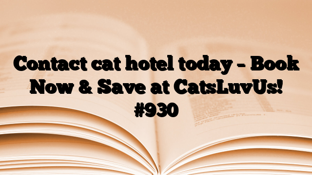Contact cat hotel today – Book Now & Save at CatsLuvUs!