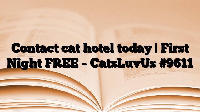 Contact cat hotel today | First Night FREE – CatsLuvUs