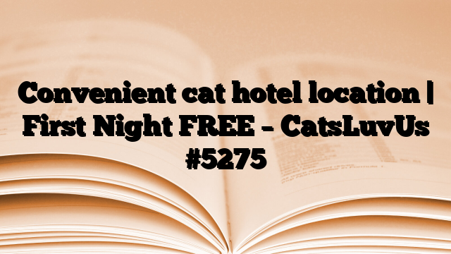 Convenient cat hotel location | First Night FREE – CatsLuvUs