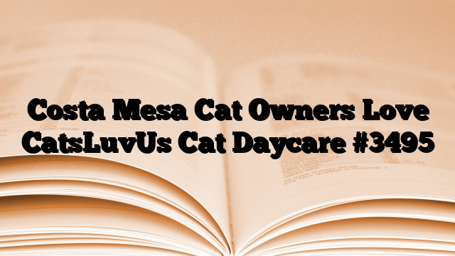 Costa Mesa Cat Owners Love CatsLuvUs Cat Daycare