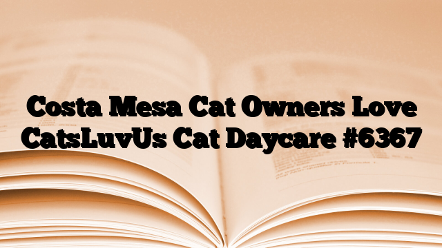 Costa Mesa Cat Owners Love CatsLuvUs Cat Daycare