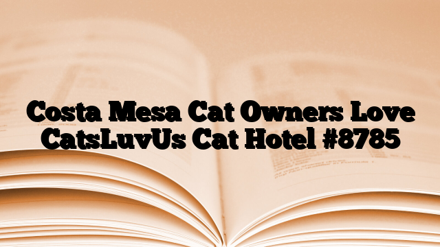 Costa Mesa Cat Owners Love CatsLuvUs Cat Hotel