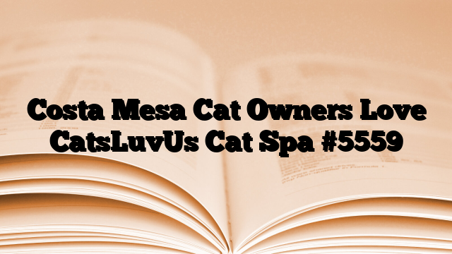 Costa Mesa Cat Owners Love CatsLuvUs Cat Spa