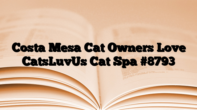 Costa Mesa Cat Owners Love CatsLuvUs Cat Spa