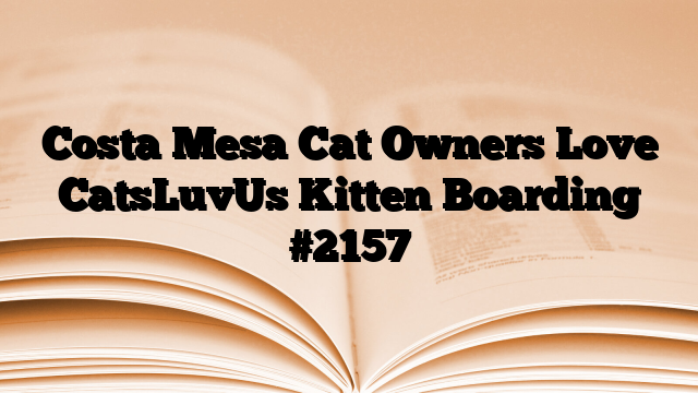 Costa Mesa Cat Owners Love CatsLuvUs Kitten Boarding