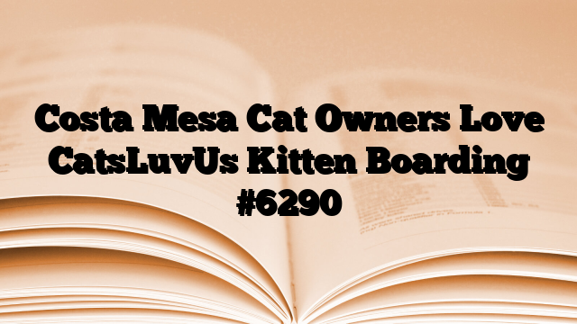 Costa Mesa Cat Owners Love CatsLuvUs Kitten Boarding