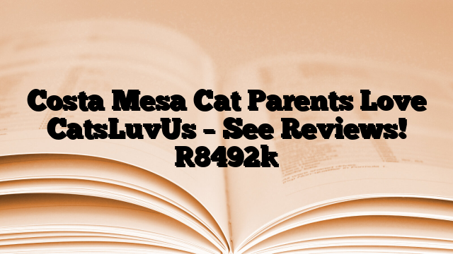 Costa Mesa Cat Parents Love CatsLuvUs – See Reviews!