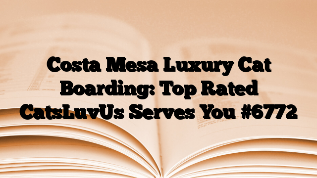 Costa Mesa Luxury Cat Boarding: Top Rated CatsLuvUs Serves You