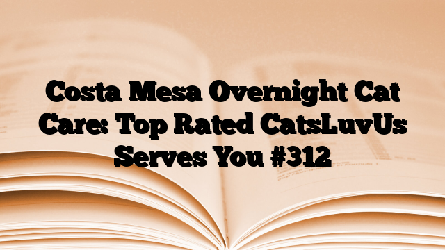 Costa Mesa Overnight Cat Care: Top Rated CatsLuvUs Serves You