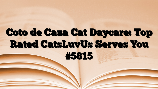 Coto de Caza Cat Daycare: Top Rated CatsLuvUs Serves You