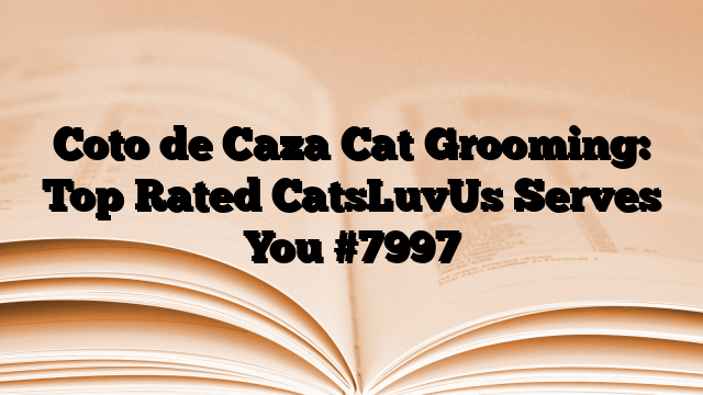 Coto de Caza Cat Grooming: Top Rated CatsLuvUs Serves You
