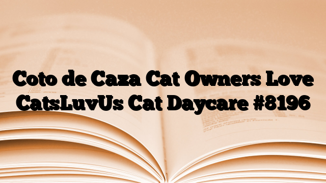 Coto de Caza Cat Owners Love CatsLuvUs Cat Daycare