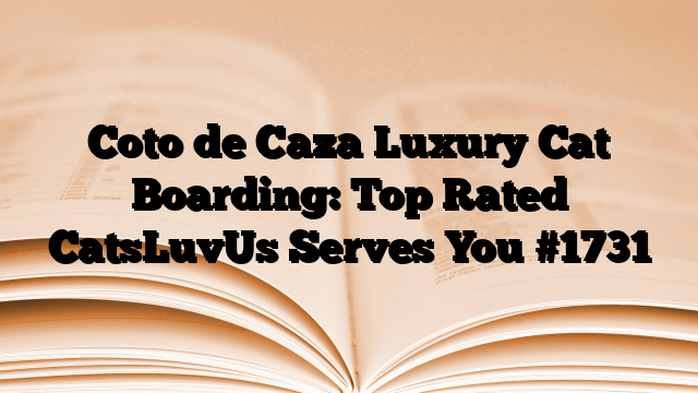 Coto de Caza Luxury Cat Boarding: Top Rated CatsLuvUs Serves You