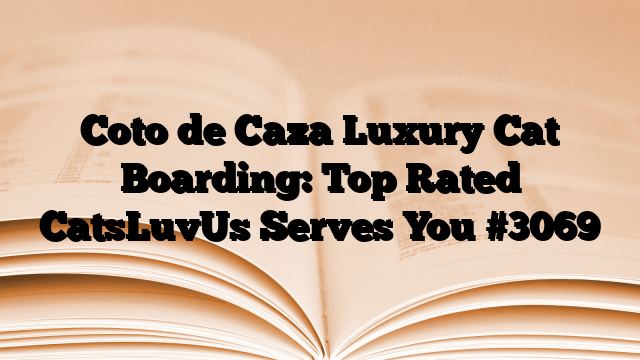 Coto de Caza Luxury Cat Boarding: Top Rated CatsLuvUs Serves You
