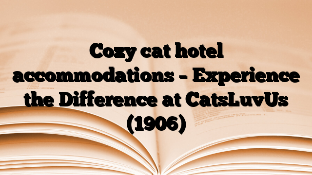 Cozy cat hotel accommodations – Experience the Difference at CatsLuvUs