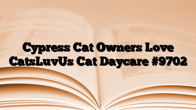 Cypress Cat Owners Love CatsLuvUs Cat Daycare