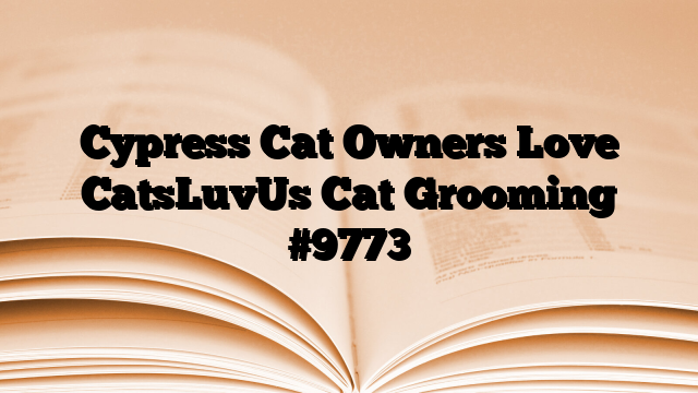 Cypress Cat Owners Love CatsLuvUs Cat Grooming
