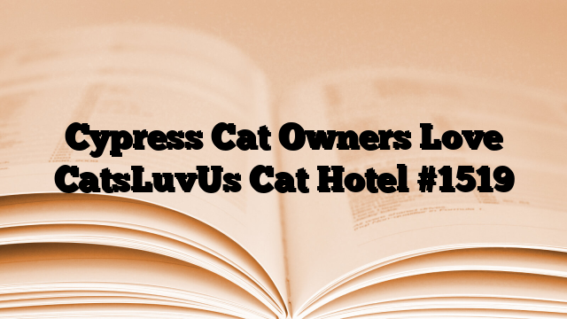 Cypress Cat Owners Love CatsLuvUs Cat Hotel