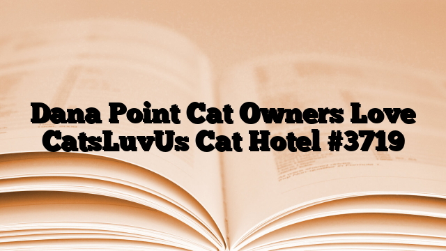 Dana Point Cat Owners Love CatsLuvUs Cat Hotel