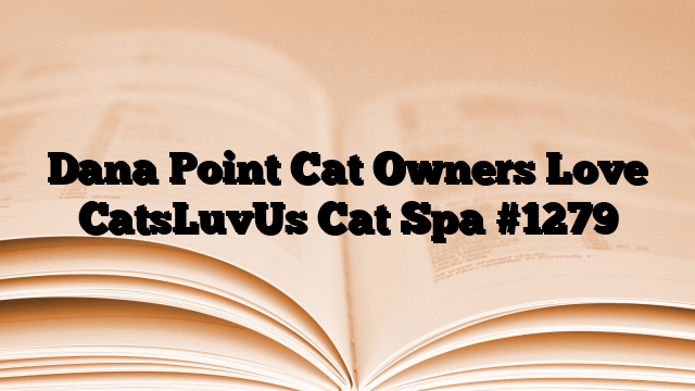 Dana Point Cat Owners Love CatsLuvUs Cat Spa
