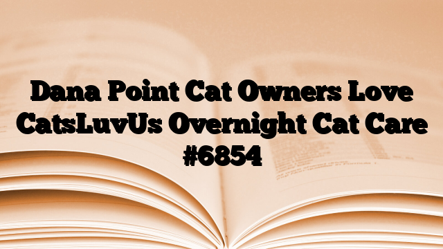 Dana Point Cat Owners Love CatsLuvUs Overnight Cat Care
