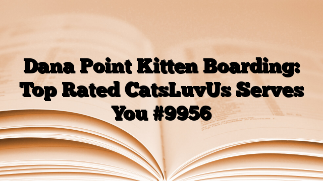 Dana Point Kitten Boarding: Top Rated CatsLuvUs Serves You