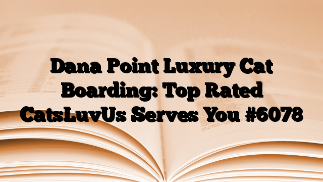 Dana Point Luxury Cat Boarding: Top Rated CatsLuvUs Serves You