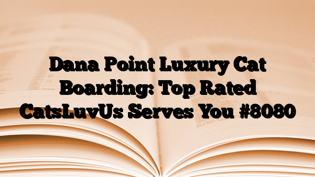 Dana Point Luxury Cat Boarding: Top Rated CatsLuvUs Serves You