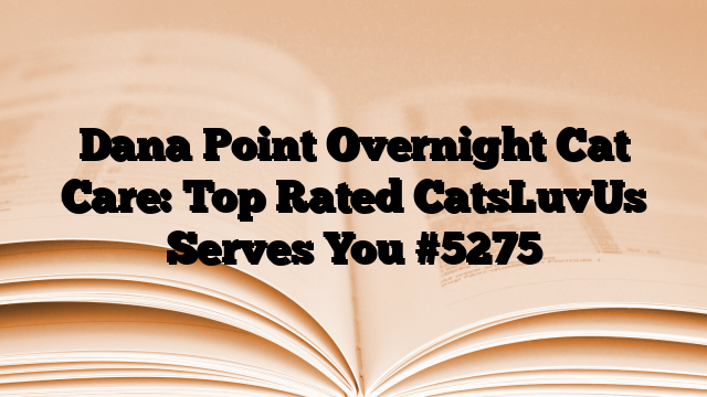 Dana Point Overnight Cat Care: Top Rated CatsLuvUs Serves You