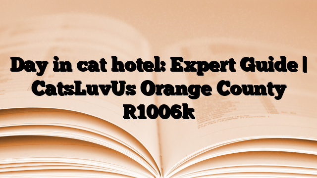 Day in cat hotel: Expert Guide | CatsLuvUs Orange County