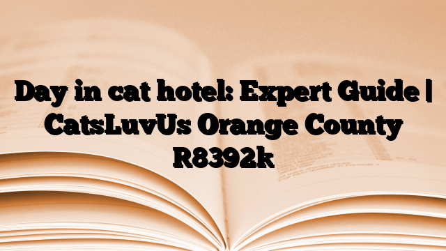 Day in cat hotel: Expert Guide | CatsLuvUs Orange County
