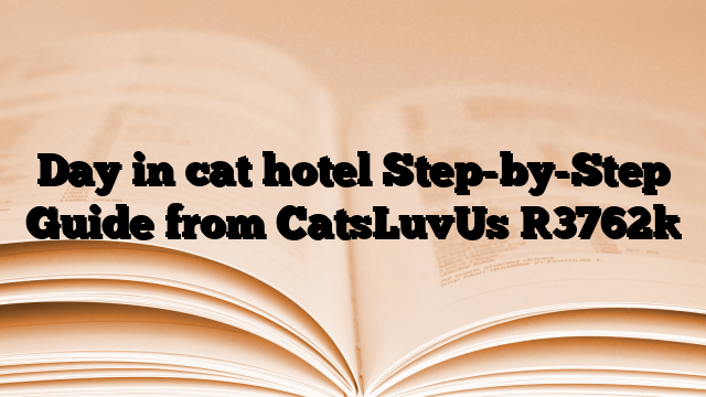 Day in cat hotel Step-by-Step Guide from CatsLuvUs