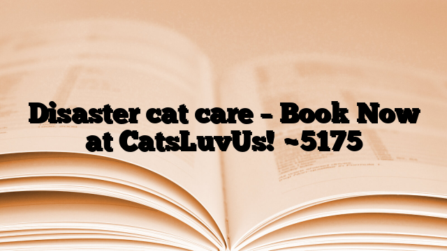 Disaster cat care – Book Now at CatsLuvUs!