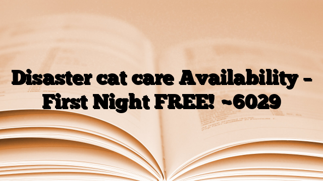 Disaster cat care Availability – First Night FREE!