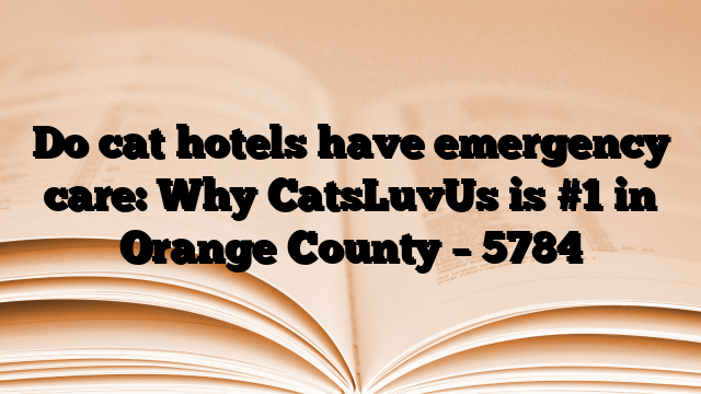 Do cat hotels have emergency care: Why CatsLuvUs is #1 in Orange County