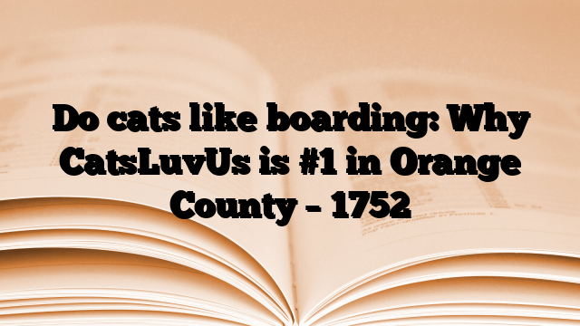 Do cats like boarding: Why CatsLuvUs is #1 in Orange County