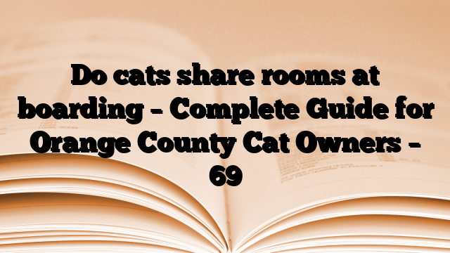 Do cats share rooms at boarding – Complete Guide for Orange County Cat Owners – 69
