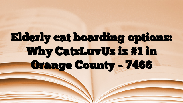 Elderly cat boarding options: Why CatsLuvUs is #1 in Orange County
