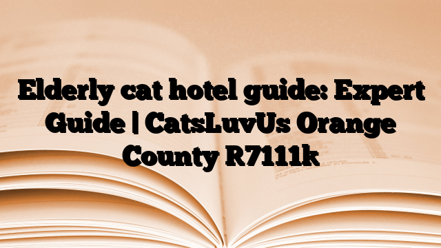 Elderly cat hotel guide: Expert Guide | CatsLuvUs Orange County