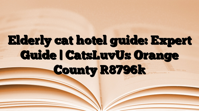 Elderly cat hotel guide: Expert Guide | CatsLuvUs Orange County