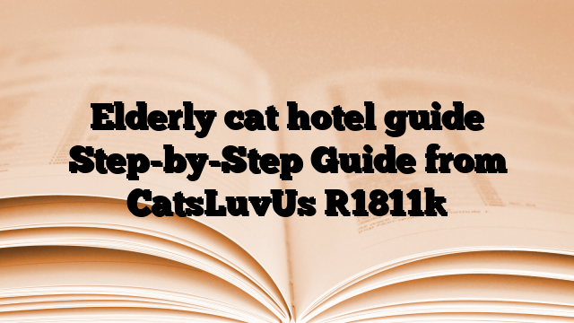 Elderly cat hotel guide Step-by-Step Guide from CatsLuvUs