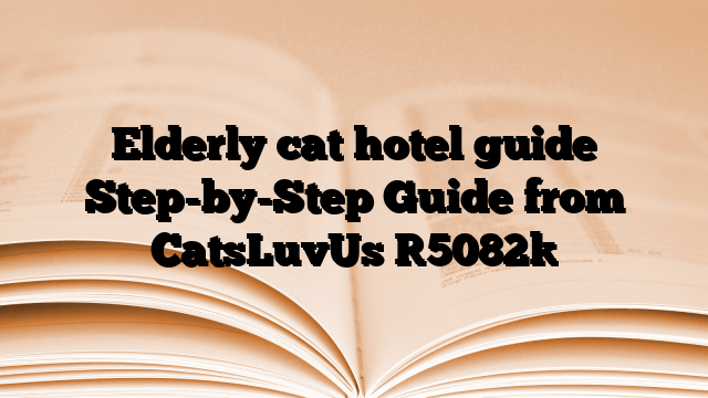 Elderly cat hotel guide Step-by-Step Guide from CatsLuvUs