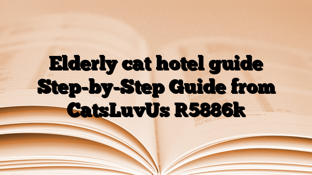 Elderly cat hotel guide Step-by-Step Guide from CatsLuvUs