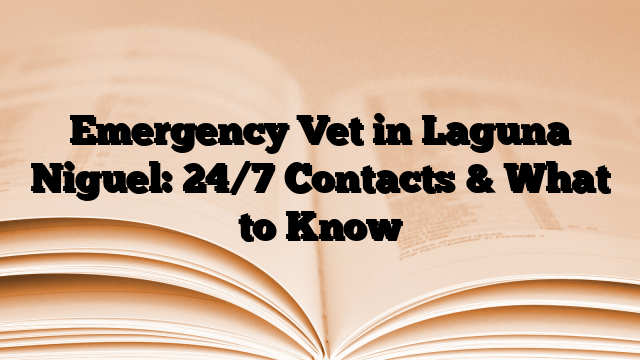 Emergency Vet in Laguna Niguel: 24/7 Contacts & What to Know
