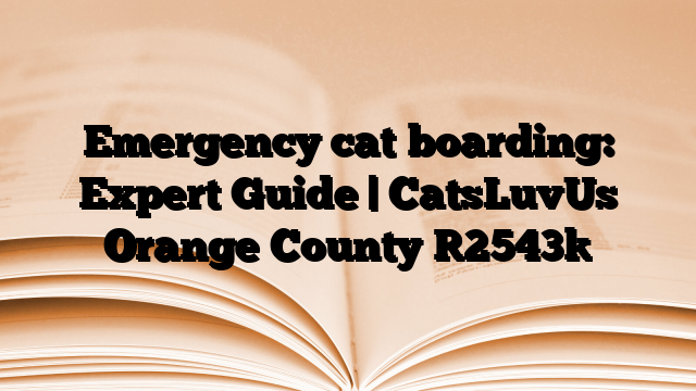 Emergency cat boarding: Expert Guide | CatsLuvUs Orange County