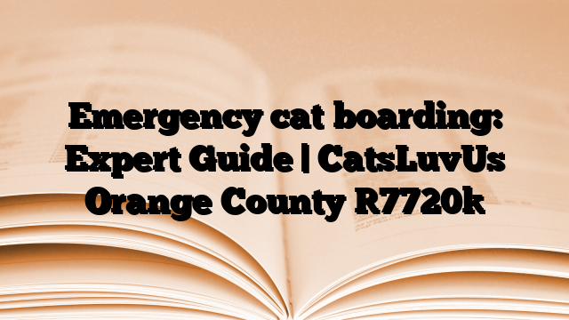 Emergency cat boarding: Expert Guide | CatsLuvUs Orange County