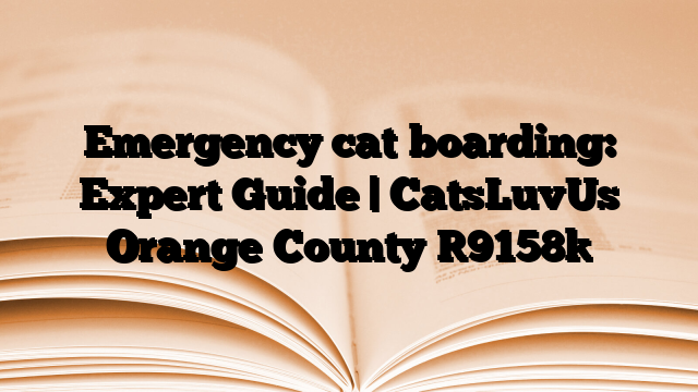 Emergency cat boarding: Expert Guide | CatsLuvUs Orange County