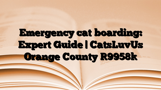 Emergency cat boarding: Expert Guide | CatsLuvUs Orange County